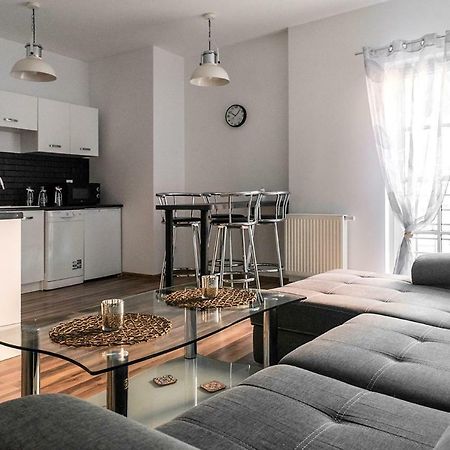 クウォツコApartament Na Wyspie Piasekアパートメント エクステリア 写真